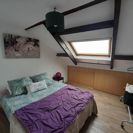 Appartement T3 Hyper Centre Vannes Extérieur photo